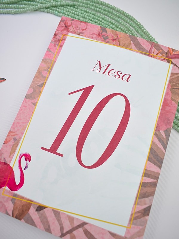 Mesero flamencos