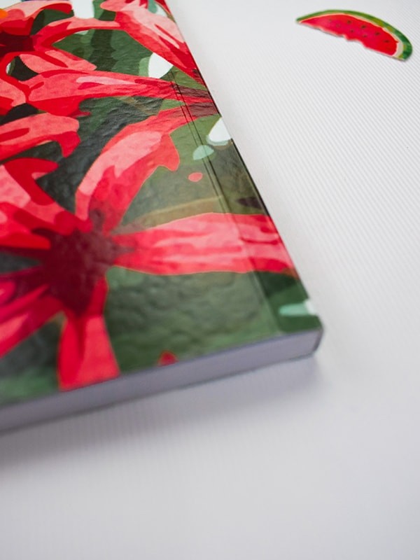 Libro firmas flamencos