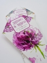 Conos de boda dandelion