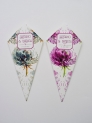 Conos de boda dandelion