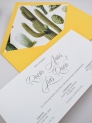 Invitación americana cactus botanic