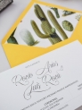 Invitación americana cactus botanic