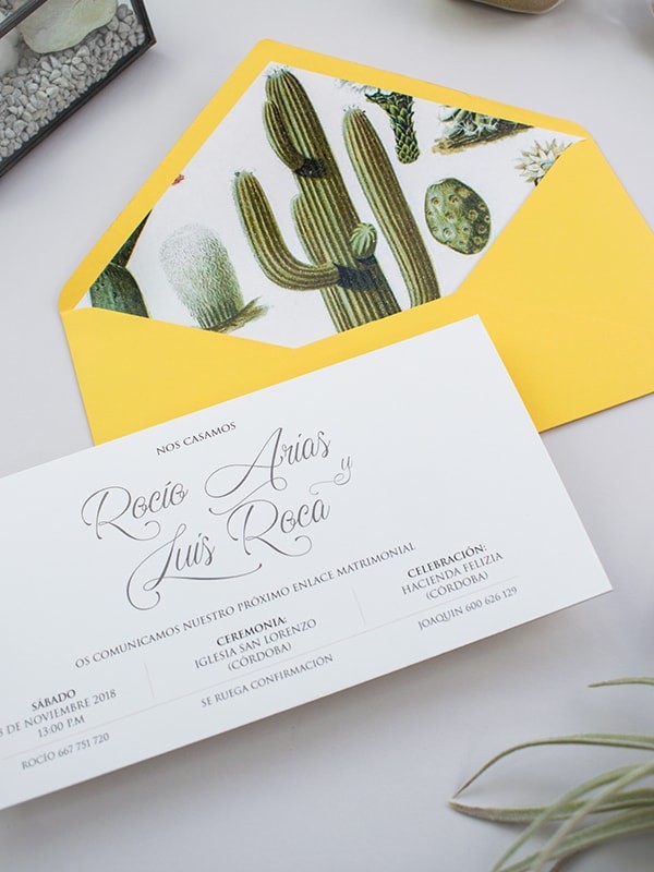 Invitación americana cactus botanic