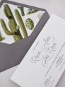 Invitación americana cactus botanic