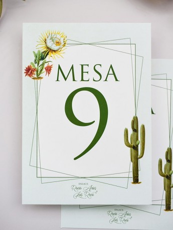 Mesero cactus botanic