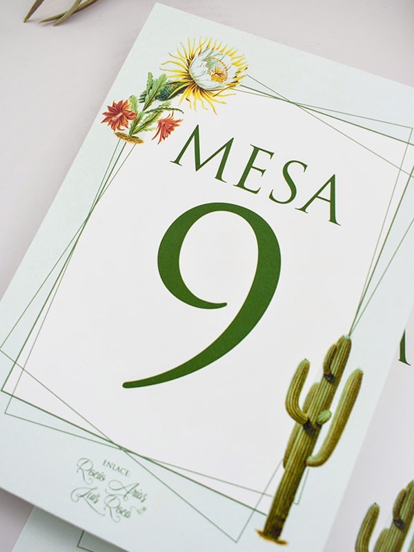 Mesero cactus botanic