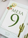 Mesero cactus botanic