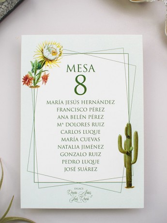 Seating cactus botanic