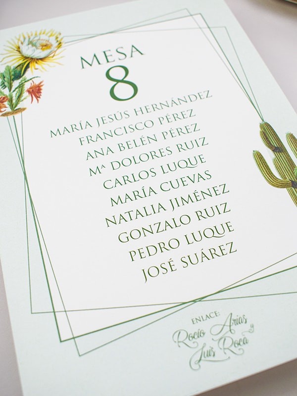 Seating cactus botanic