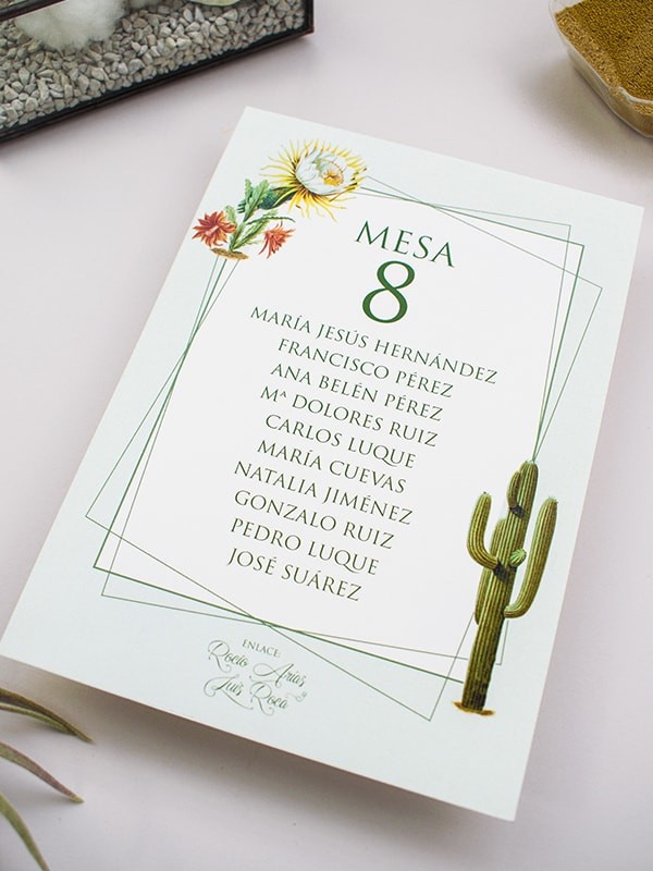 Seating cactus botanic