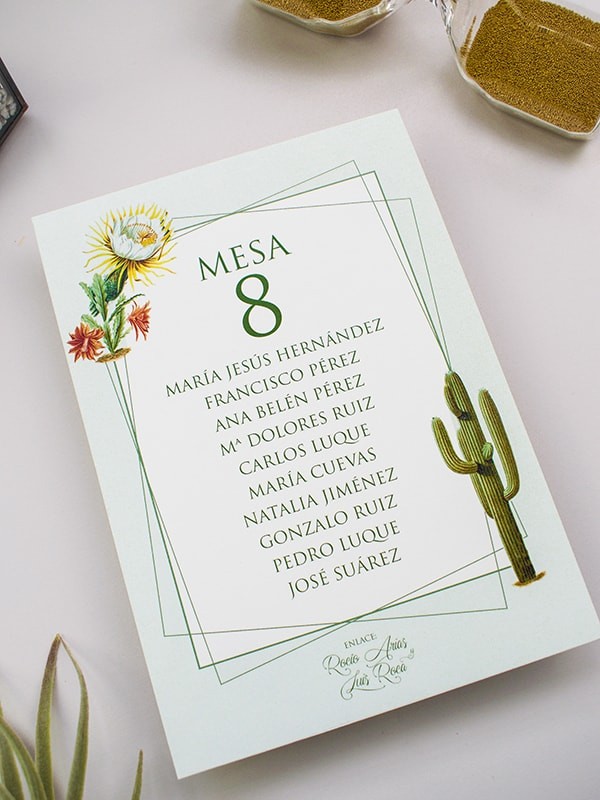 Seating cactus botanic