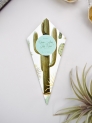 Conos de boda cactus botanic
