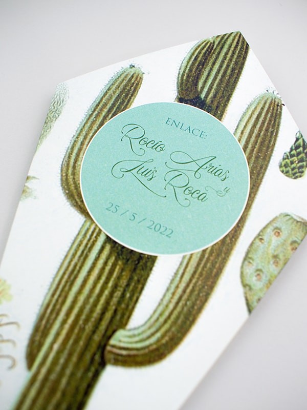 Conos de boda cactus botanic