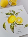 Libro firmas citrus limones