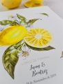 Libro firmas citrus limones