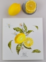 Libro firmas citrus limones