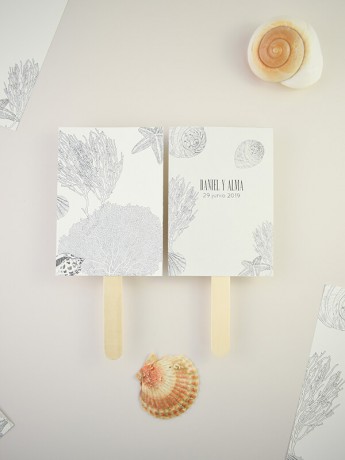 Paipai boda caracolas