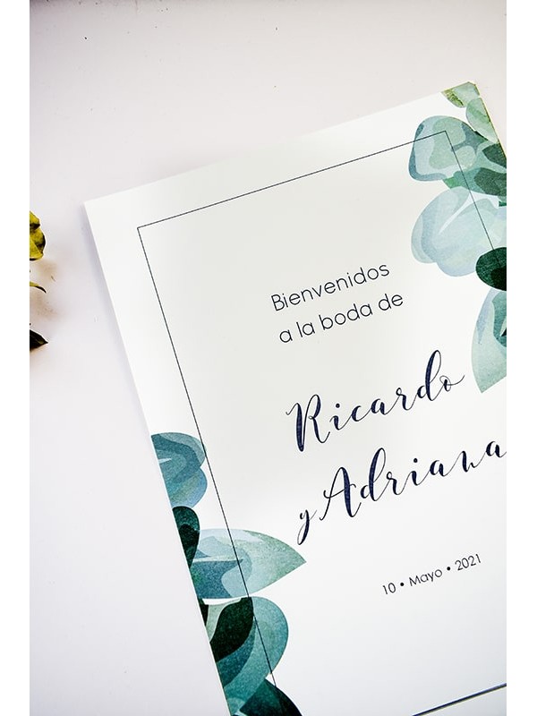 Carteles boda eucalipto