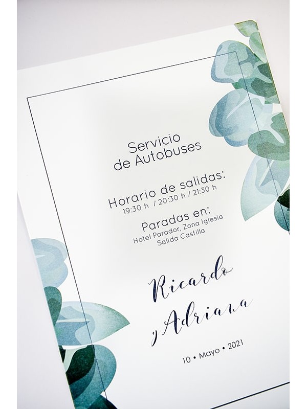 Carteles boda eucalipto