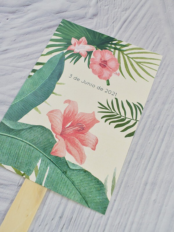 Paipai boda piñas