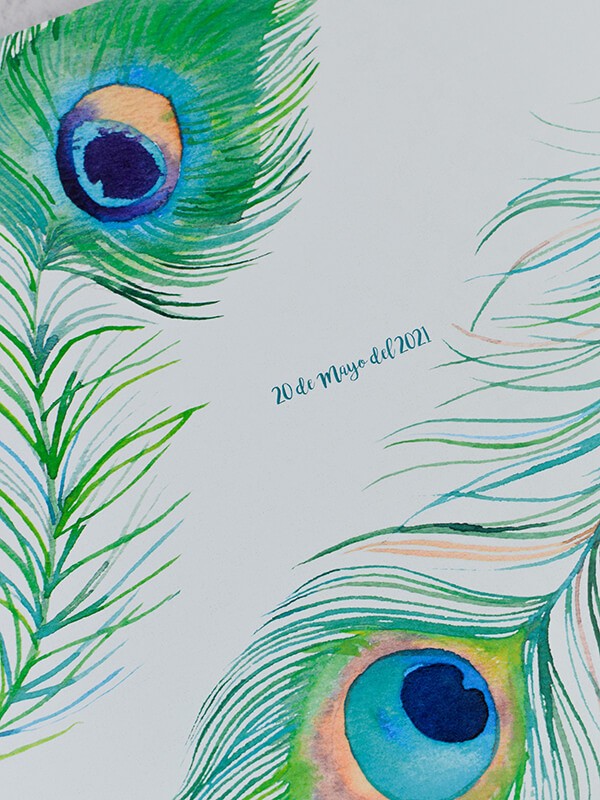Libro firmas pavo real