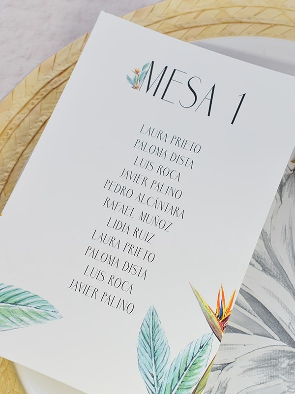 Seating ave del paraíso