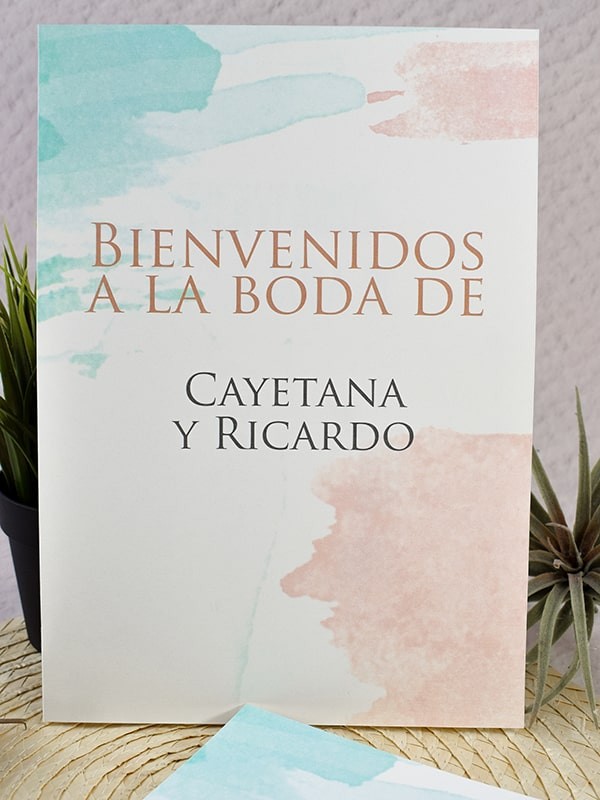 Carteles boda cloé