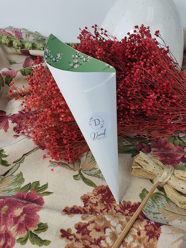 Conos comunión David