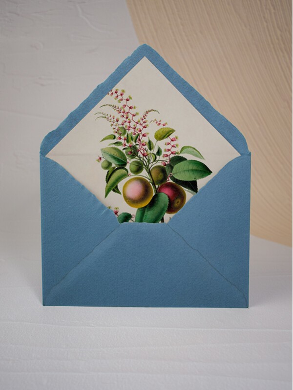 Sobres Algodón Forros Botánica