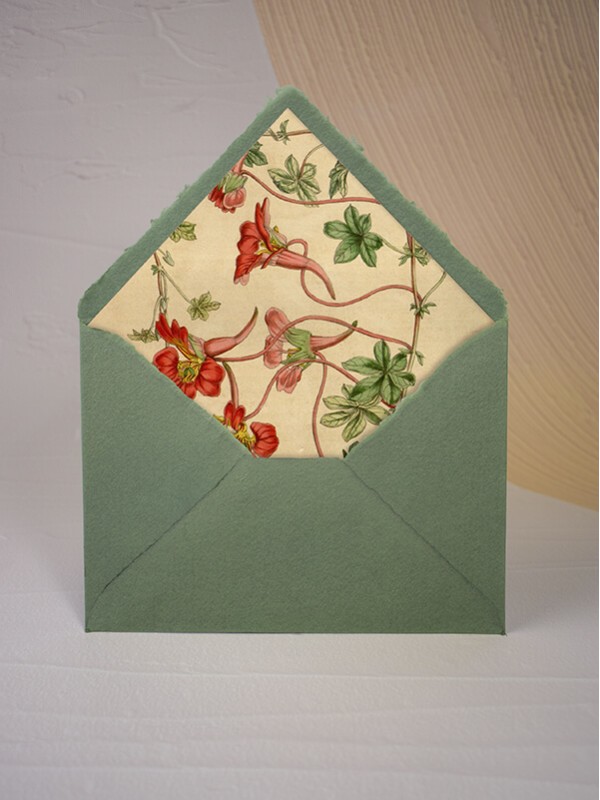 Sobres Algodón Forros Botánica