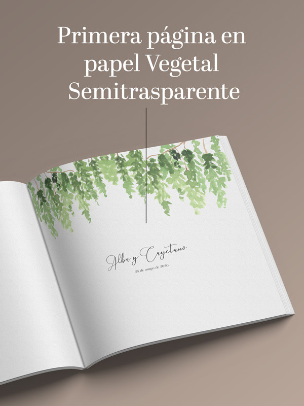 Libro firmas Boda Helecho Boho