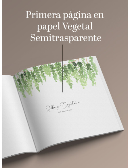 Libro firmas Boda Helecho Boho
