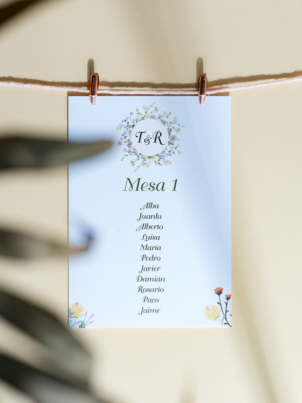 Seating boda Color Spring
