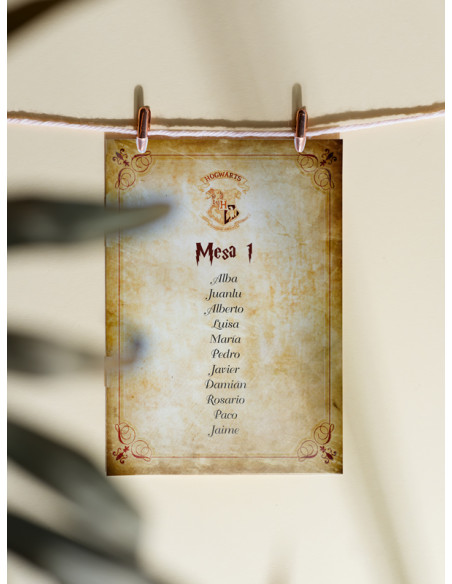 Seating boda Harry Potter