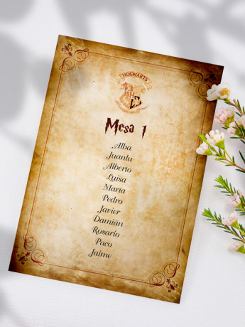 Seating de boda harry potter 2