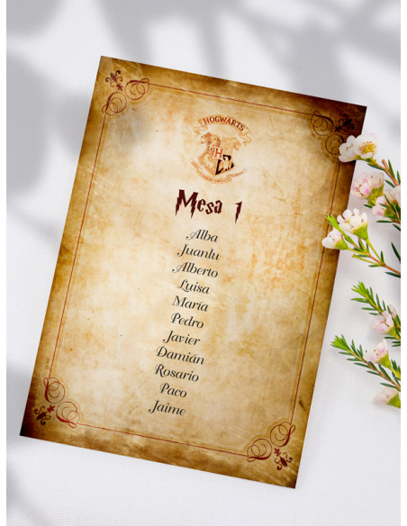 Seating boda Harry Potter