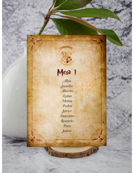 Seating boda Harry Potter