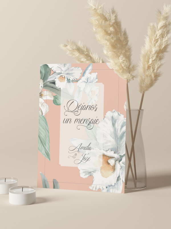 Carteles boda Alma