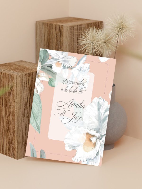 Carteles boda Alma