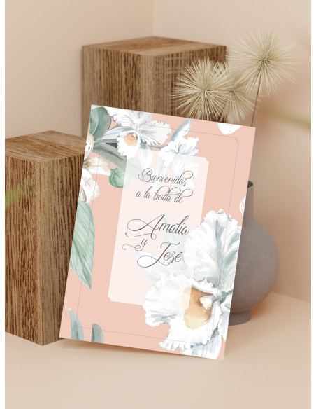 Carteles boda Alma