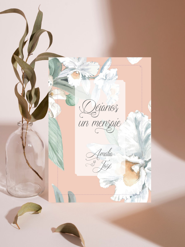 Carteles boda Alma