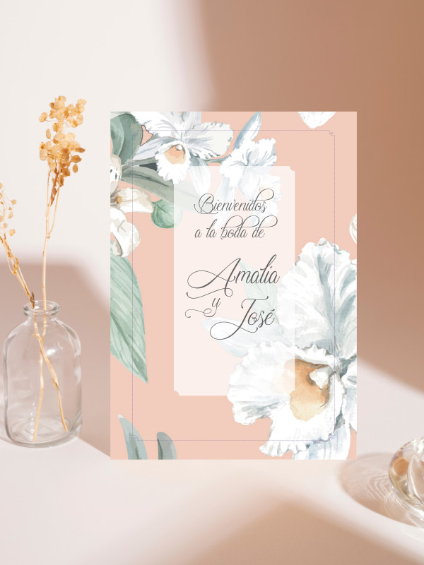 Carteles boda Alma