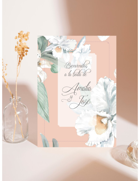 Carteles boda Alma