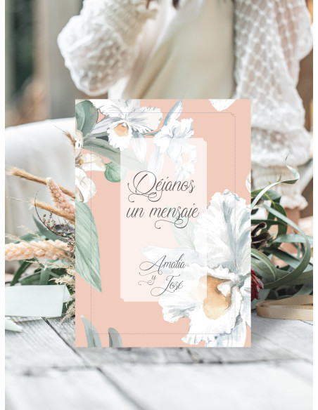 Carteles boda Alma