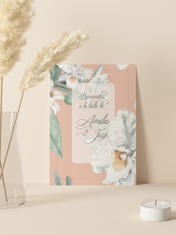 Carteles boda Alma