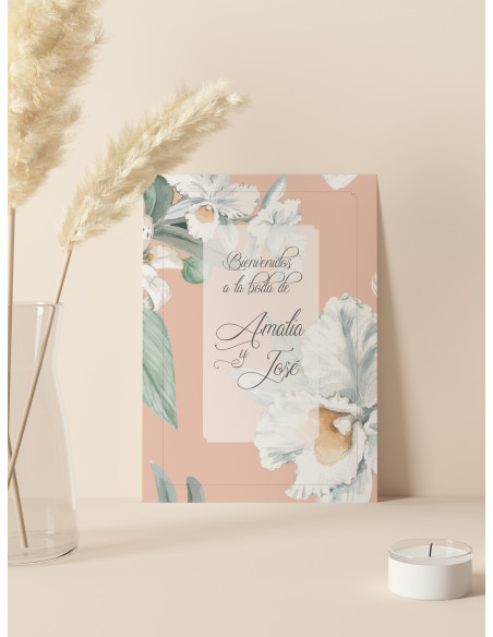 Carteles boda Alma