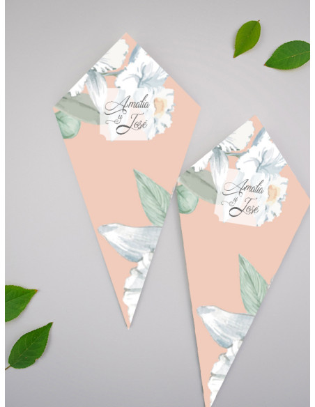 Conos de boda Alma