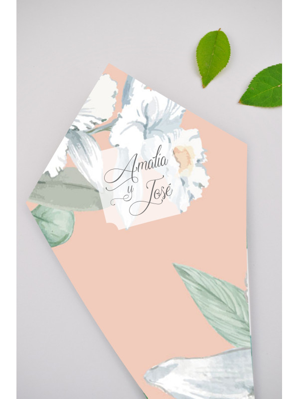 Conos de boda Alma