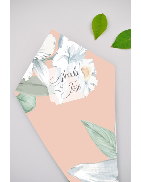 Conos de boda Alma
